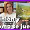 [ID: 7Q0u5hqJksM] Youtube Automatic
